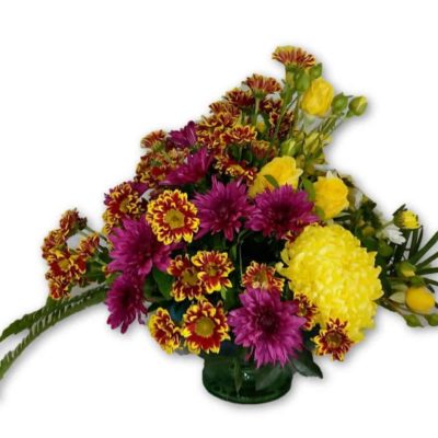 mum-chrysanthemum-gift