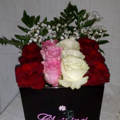 Bloom Box Classic